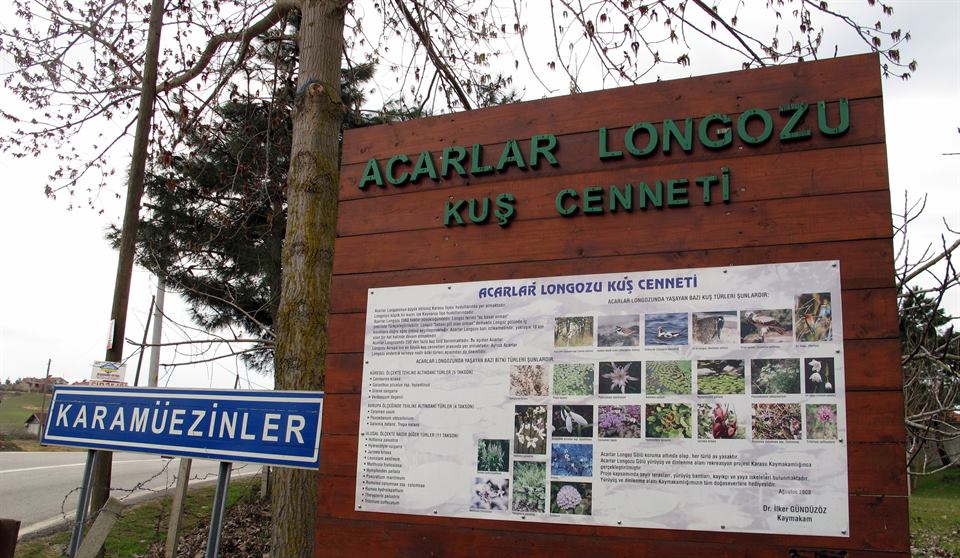 Acarlar Longozu (Karasu)