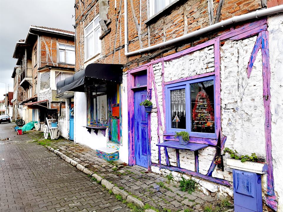 Historic houses of Yukarı Mahalle